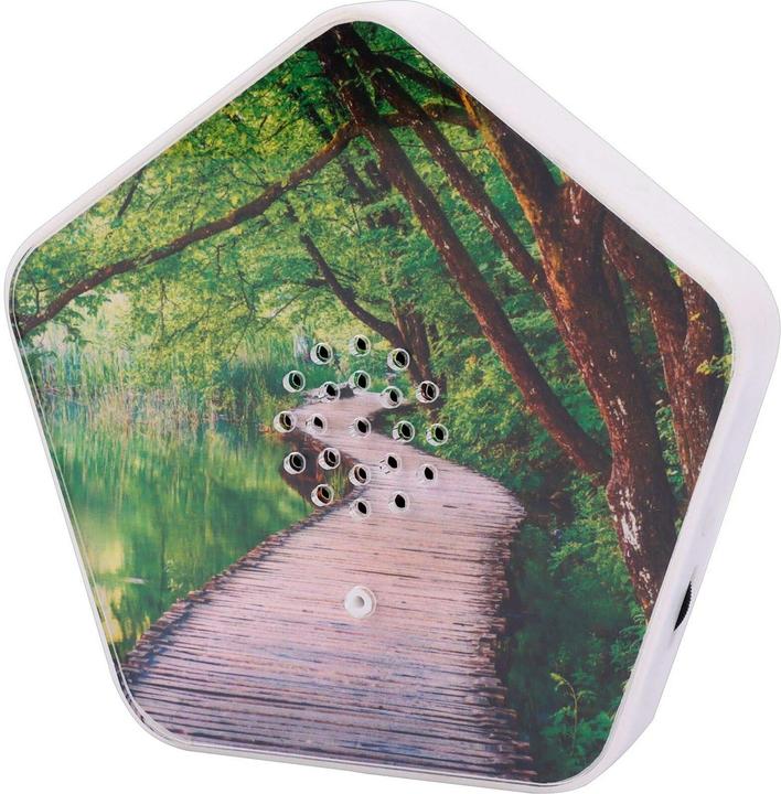 Actual product image Olymp Sounds of Nature Box 4 Klänge, 12 Motive
