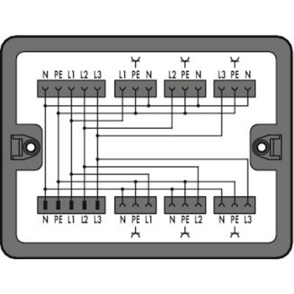 Wago 899-631/100-000 Verteilerbox Verteilung Dreh-/ Wechselstrom 400 V / 230 V (Verteiler) (899-631/100-000)