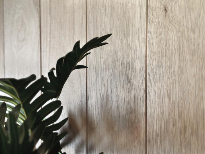 Produktbild Möbel-Eins Nut-