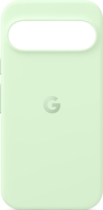 Wintergreen