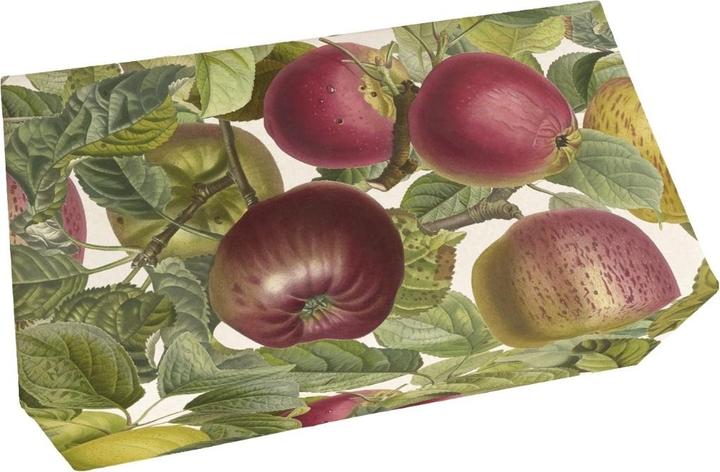 Immagine prodotto Sköna Ting Seife 200g Apfelduft Jabłoń (Ricarica)