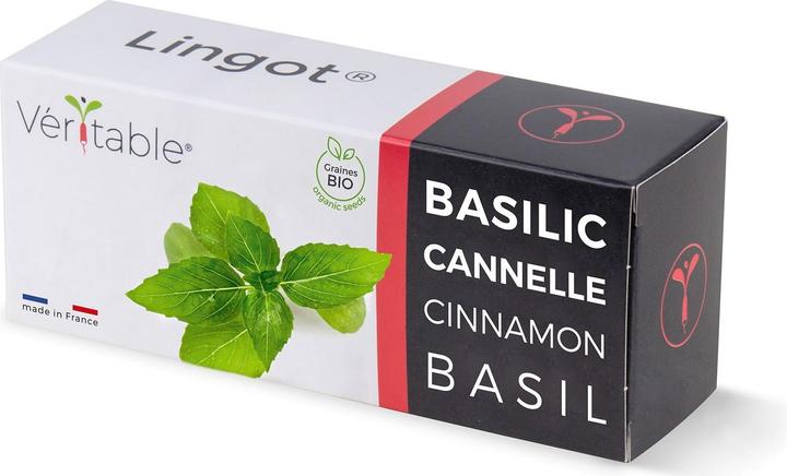 Produktbild Véritable Bio-Thai-Basilikum (Kräutersamen)