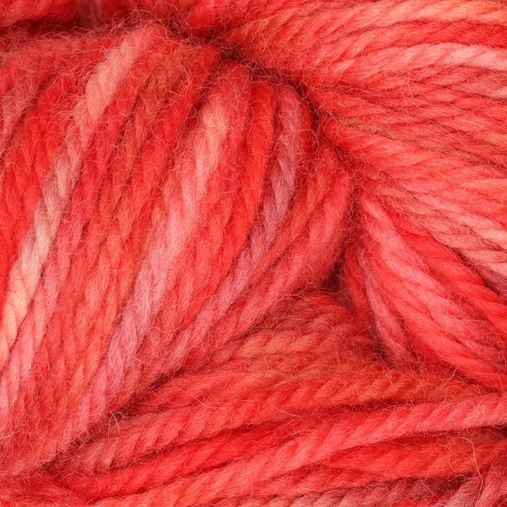 col. Red Snapper