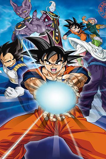 Image du produit Herding Dragonball (135 x 200 cm, 80 x 80 cm)