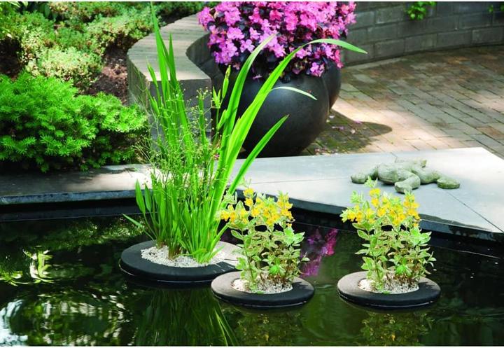 Image du produit Velda Îlot végétal non planté