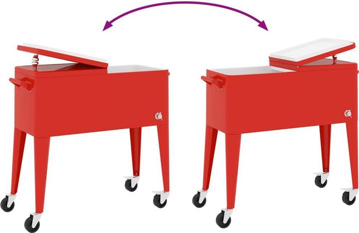 Actual product image vidaXL Kühlwagen (80 l)