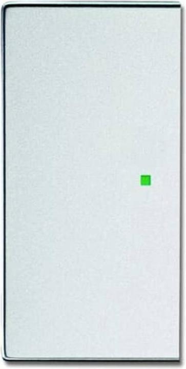 Busch-Jaeger Wippe aws mit Symbol Licht 2520 LI-214 - Werkzeuge / Zubehör