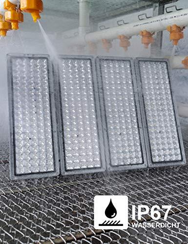 Produktbild Rugging LED-Strahler, Flutlicht (4000 lm, IP67)