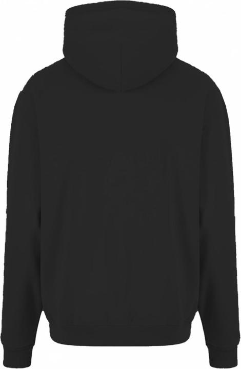 Actual product image Prortx Mens Hoodie (M)