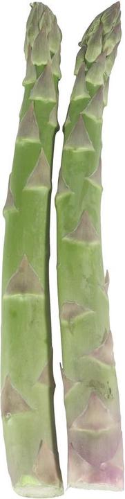 Image du produit Lubera Asperges vertes VerteVite®