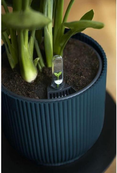 Actual product image Elho Vibes Fold (22 cm)