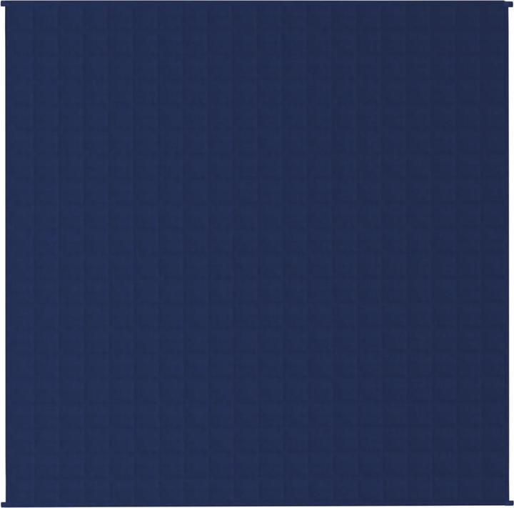 Produktbild vidaXL Gewichtsdecke (200 x 200 cm)
