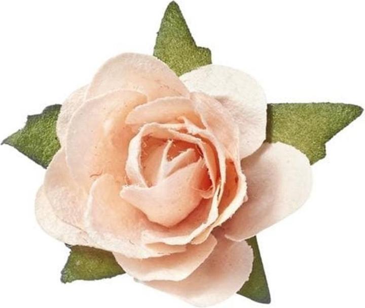 Image du produit Hobby Fun Décoration à saupoudrer Roses 20 pièces, abricot (20 pcs)