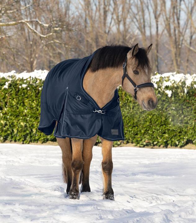 Image du produit Waldhausen Scandic 100g (145 cm)