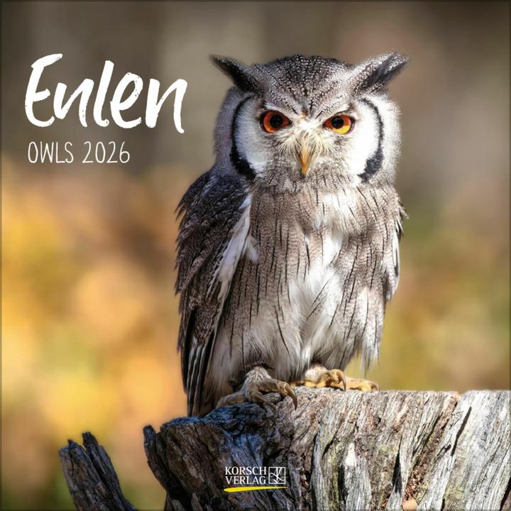 Produktbild Eulen 2026 (30 x 30 cm)