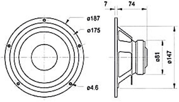 Actual product image Visaton W 170 S