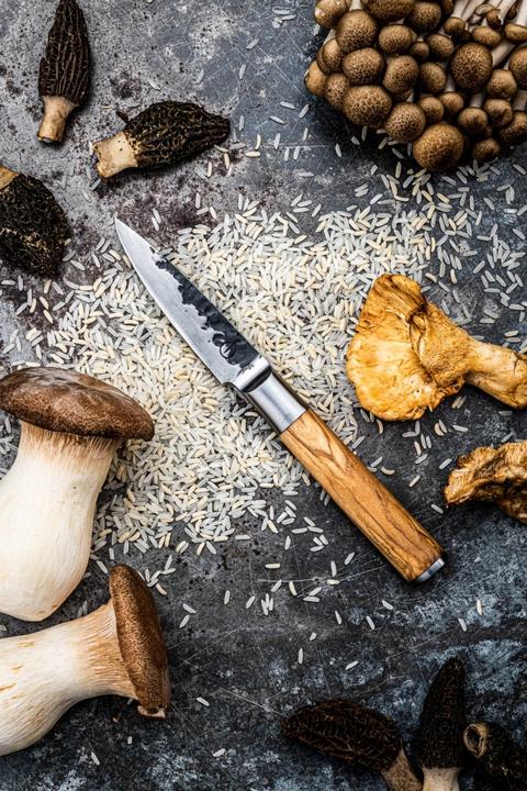 Produktbild Forged OLIVE SCHILMES 8,5CM (8.50 cm)