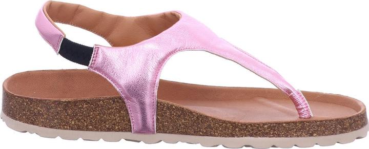 Produktbild Verbenas Reagan (37)