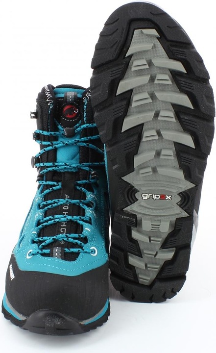 Image du produit Mammut Alto High GTX (39)