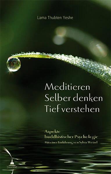 Produktbild Meditieren. Selber denken. Tief verstehen (Deutsch, 2009)