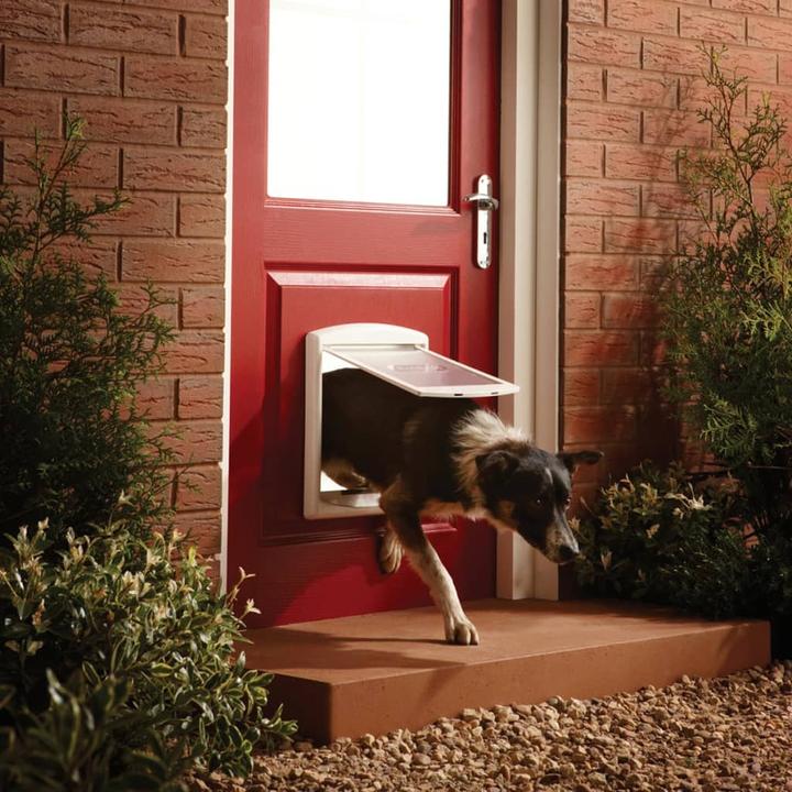 Actual product image PetSafe Staywell Haustiertüre Original mit 2 Verschlussoptionen (Manual cat flap)