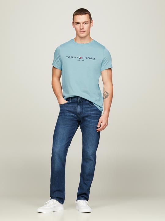 Immagine prodotto Tommy Hilfiger Tommy Logo Tee (M)