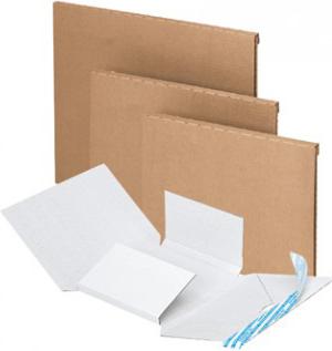 Immagine prodotto Brieger Scatola di spedizione con tasca interna (0,5 x 60 x 78,5 cm, 1 x)