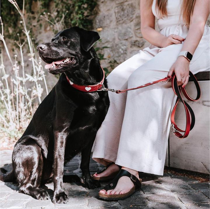 Immagine prodotto Hunter Collare Love XL (80), rosso/nero, circonferenza collo: 62 (XL, Cane, Generale)