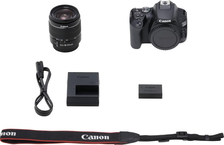 Actual product image Canon EOS 250D (18 - 55 mm, 24.10 Mpx, APS-C / DX)