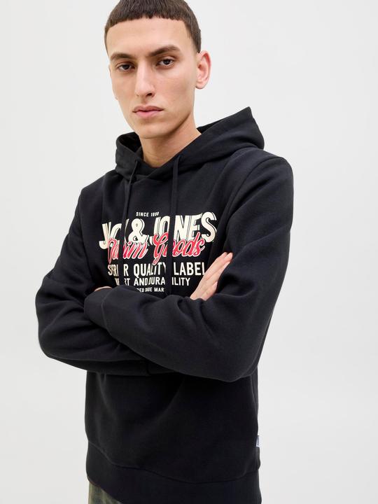 Actual product image Jack & Jones JJELOGO SWEAT HOOD 2 COL 25/26 NOOS (L)