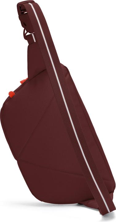 Produktbild Pacsafe Go