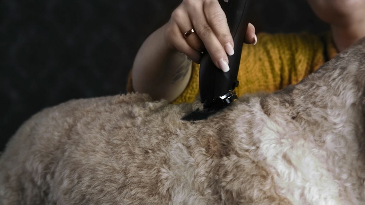 Image du produit Moser Max 50 (Chien, Chat)