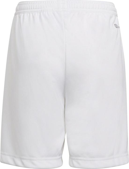 Actual product image adidas Entrada 22 Shorts (152)