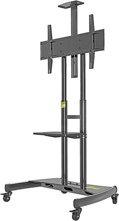 Produktbild Audioraq ECO+ 1381 (Universal, 80", 90 kg)
