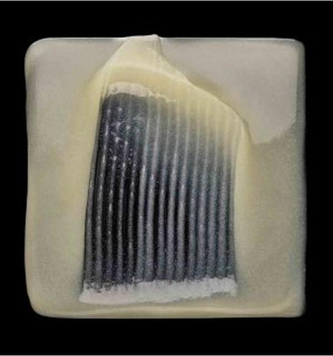 Actual product image L'Oréal Professionnel Serie Expert Absolut Repair (300 ml, Liquid shampoo)