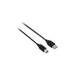 Thumbnail - V7 USB A – USB B (1.80 m, USB 2.0), USB Kabel