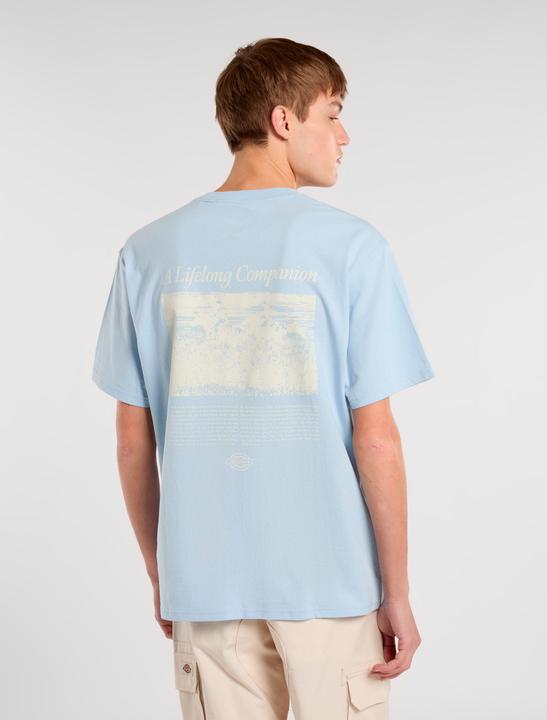 Actual product image Dickies Companion Script Ss Tee Skyway (S, M, L)