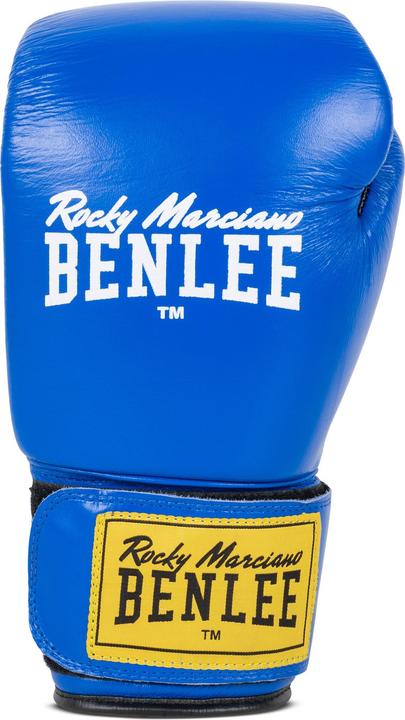 Actual product image Benlee Fighter (10 OZ, 10)