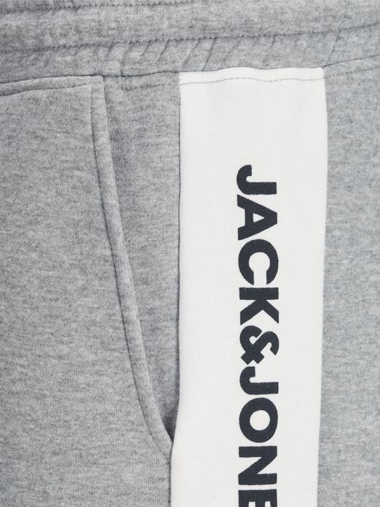 Image du produit Jack & Jones Logo Blocking (M)