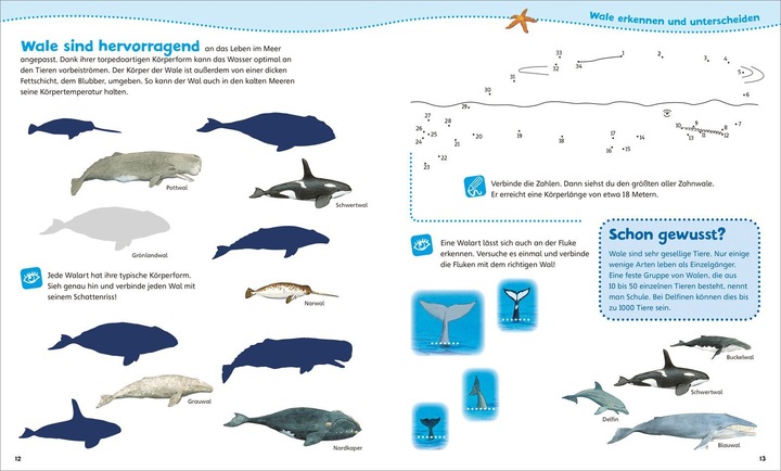 Actual product image Tessloff WAS IST WAS Junior activity booklet. Whales and dolphins. Games, puzzles, stickers