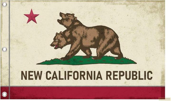 Actual product image DEVplus Fallout Canvas Banner NCR