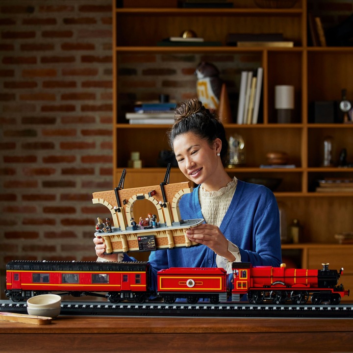 Image du produit LEGO Poudlard Express - Sammleredition (76405, LEGO difficiles à trouver, LEGO Harry Potter)
