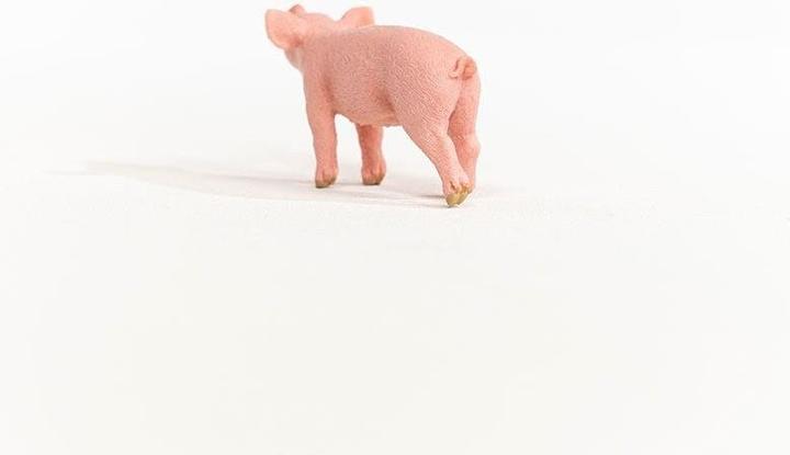 Actual product image Schleich Farm World