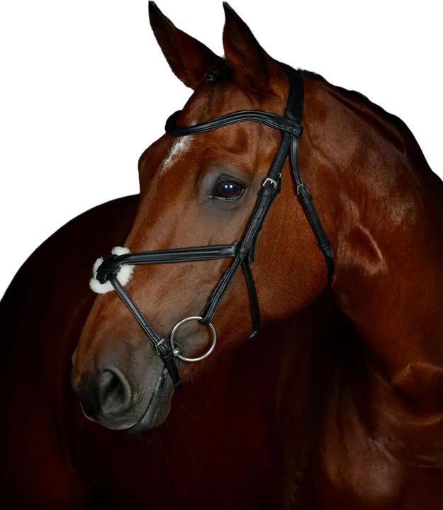 Produktbild Collegiate GrackleZaumzeug Leder