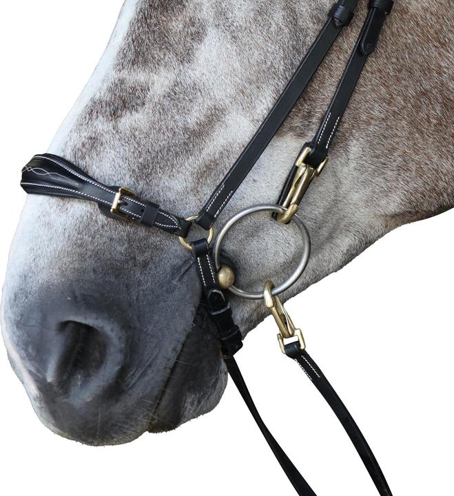 Image du produit - Muserolle à chute de cheval PICK N MIX