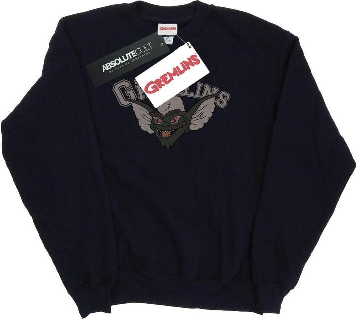 Image du produit Universal Textiles - Sweat KINGSTON FALLS SPORT - Femme (XXL)