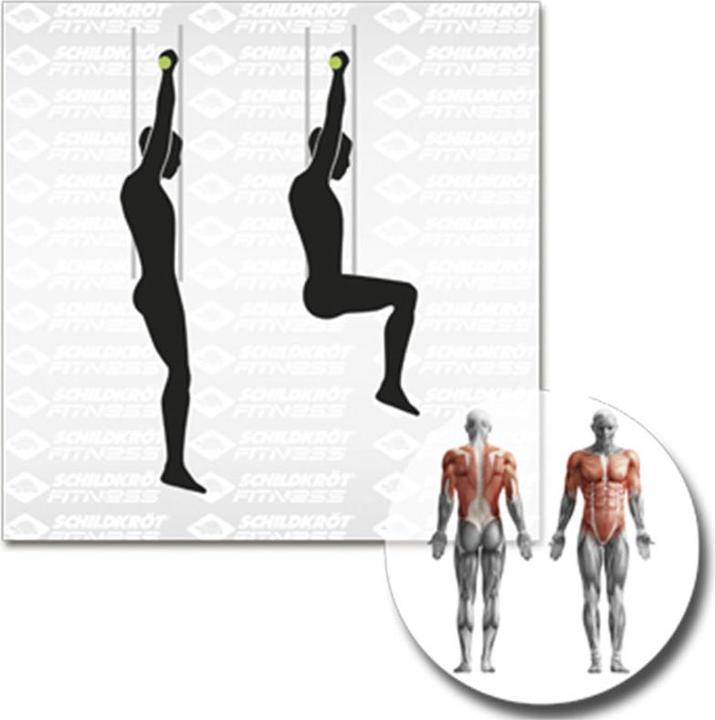 Actual product image Schildkröt Pull-up bar