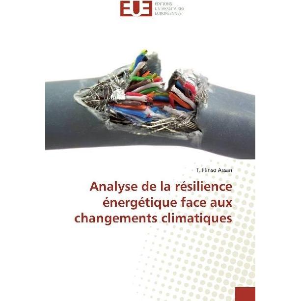 Analyse de la résilience énergétique face aux changements climatiques, Fachbücher von T. Flinso Assan