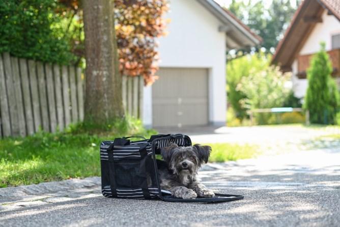 Produktbild Kerbl Cuba (Hund, Katze, Sicherheitsverschluss)