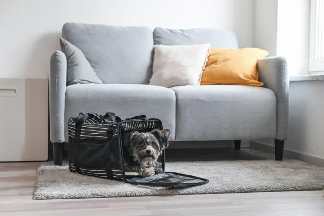 Produktbild Kerbl Cuba (Hund, Katze, Sicherheitsverschluss)
